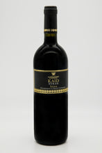 Load image into Gallery viewer, alessandro di camporeale